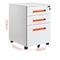 Cabinetes de archivo de acero en frío de la oficina ISO14001 0.8m m