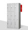 Gabinete de almacenamiento de capa del armario del metal del polvo de 9 puertas ISO9001
